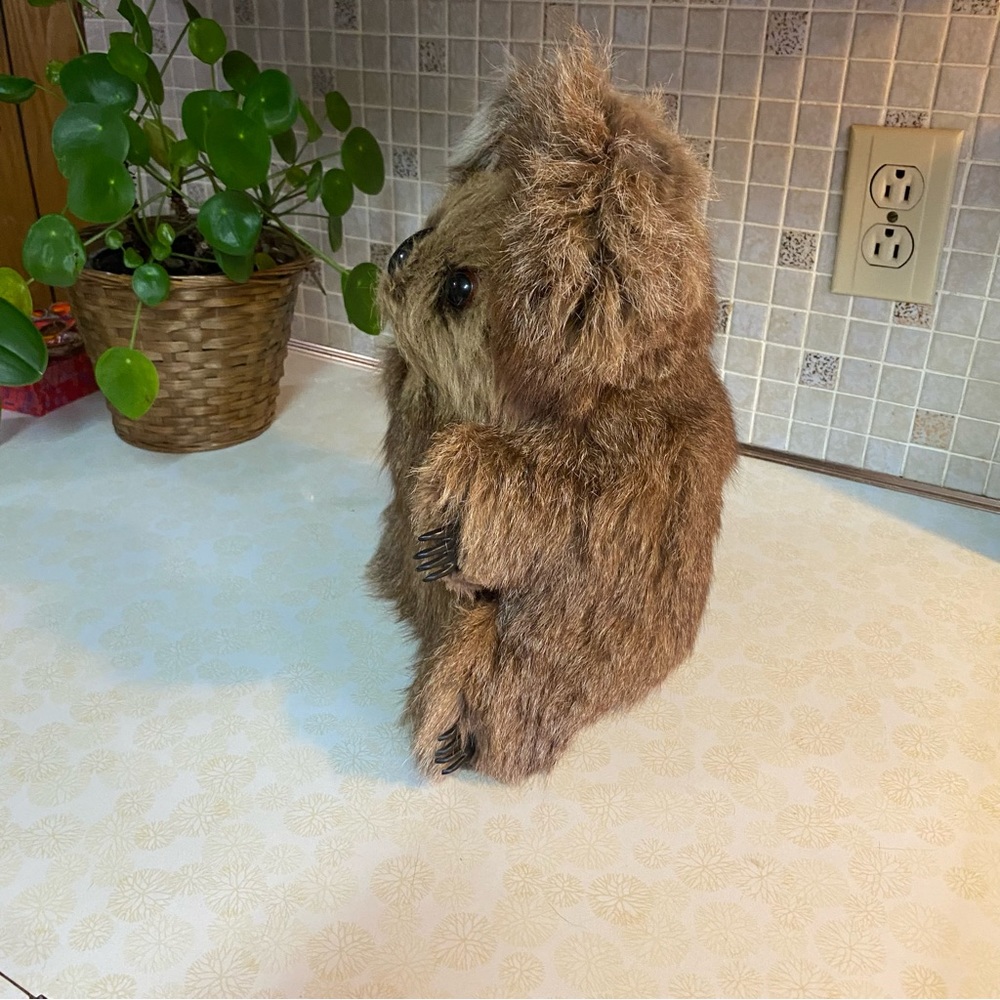Vintage Australian‎ Koala bear real fur plush stuffed animal Australia realistic - Picture 5 of 8
